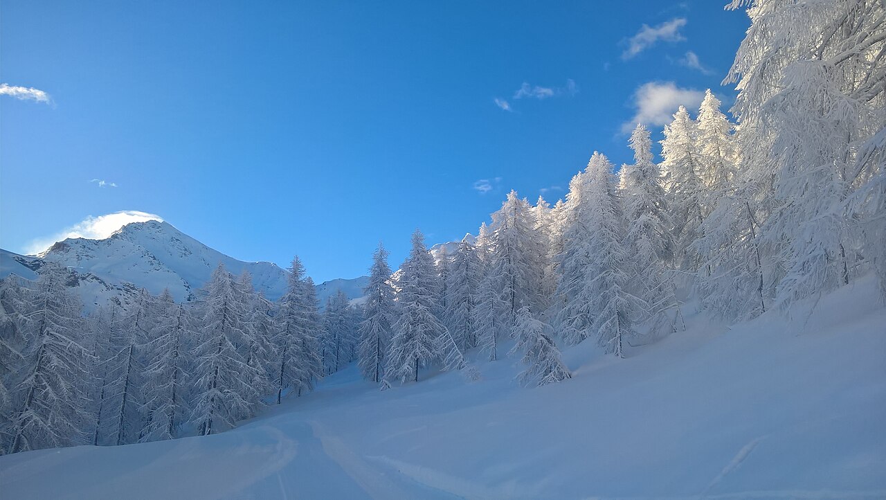 La cima
